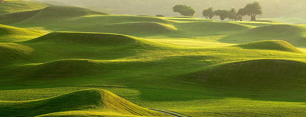 golf course agronomy mounding