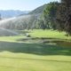 golf course irrigation system near green